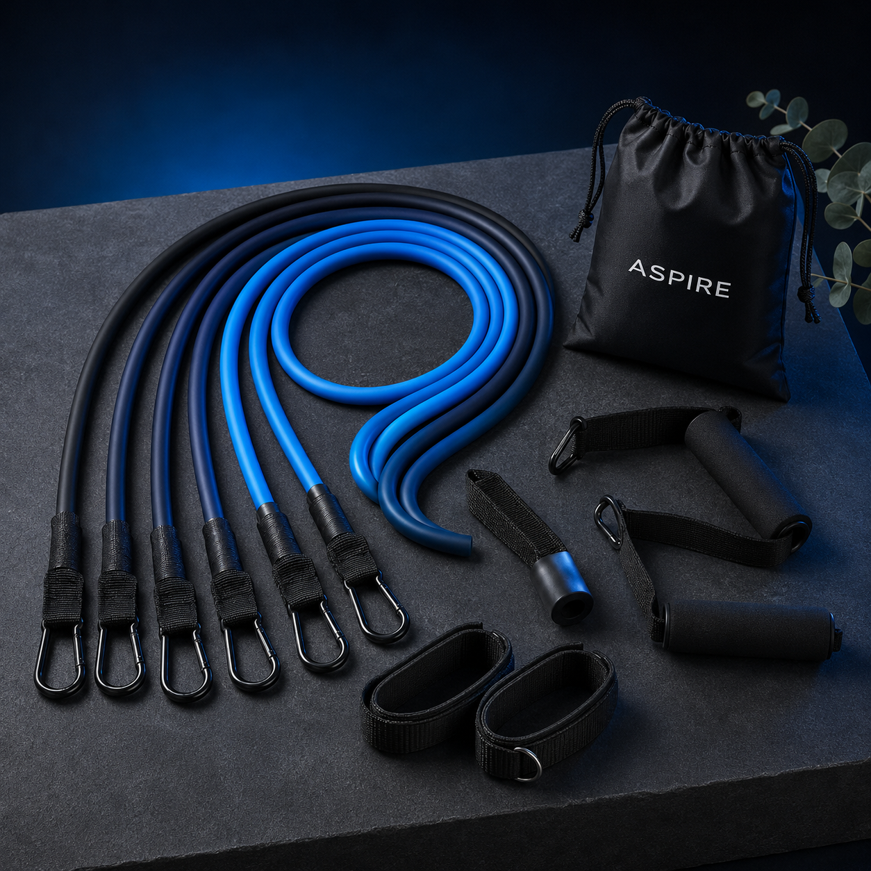 Aspire Resistance Band Training Set