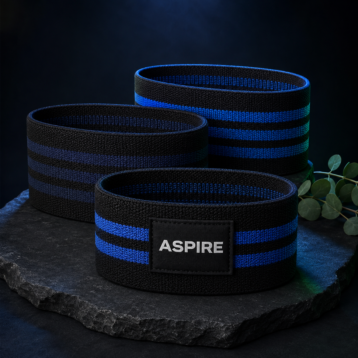 Aspire Fabric Hip Band Set
